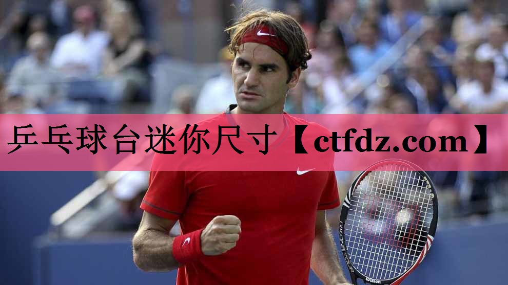 乒乓球台迷你尺寸 乒乓球台迷你尺寸