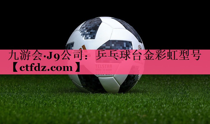 乒乓球台金彩虹型号 乒乓球台金彩虹型号