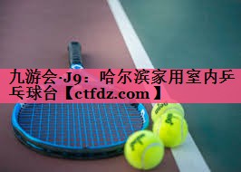 哈尔滨家用室内乒乓球台 哈尔滨家用室内乒乓球台