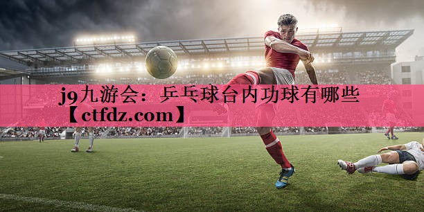 乒乓球台内功球有哪些