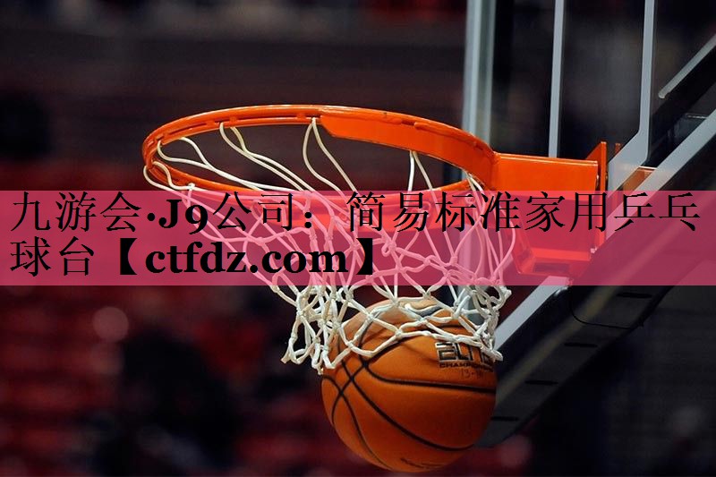 简易标准家用乒乓球台