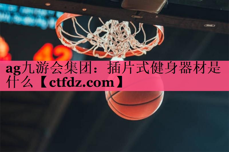 插片式健身器材是什么 插片式健身器材是什么