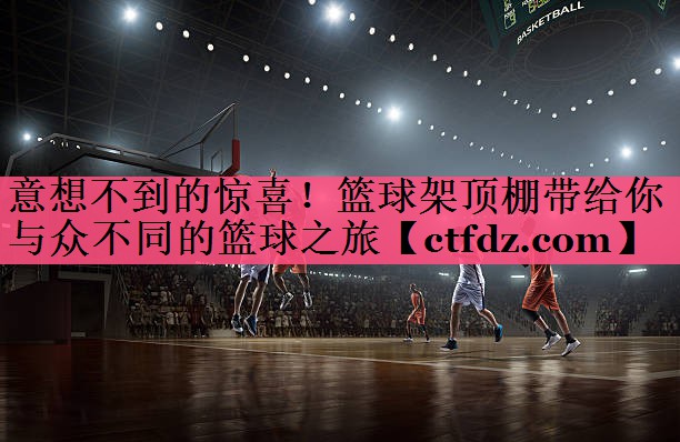意想不到的惊喜!篮球架顶棚带给你与众不同的篮球之旅 意想不到的惊喜!篮球架顶棚带给你与众不同的篮球之旅