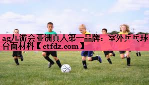 室外乒乓球台面材料